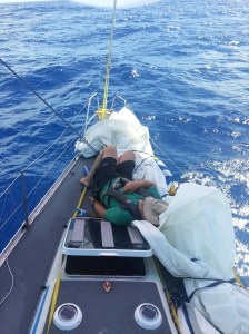 Avion_Kent_napping_Bow_20140710_212122