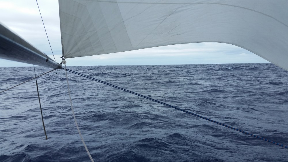 Avion_Poled-out-jib_Spin-pole_04_good__20160717_125425 (2)