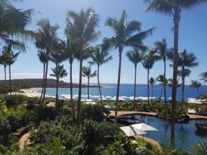 lanai_4seasons_20161020_102308-copy