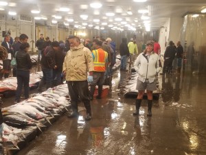 oahu_fishmarket_megan_1_20161013_060333-copy